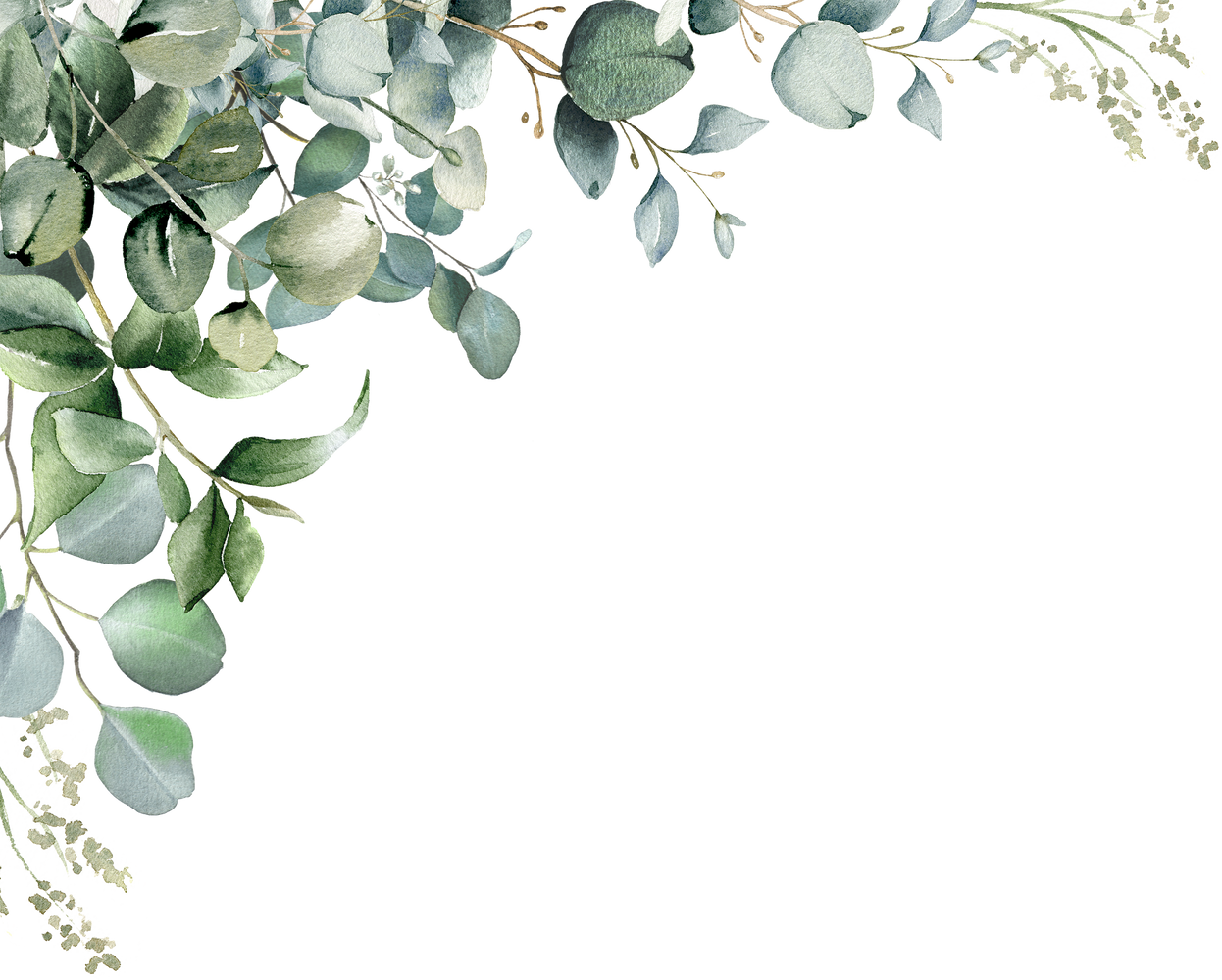 Eucalyptus corner border